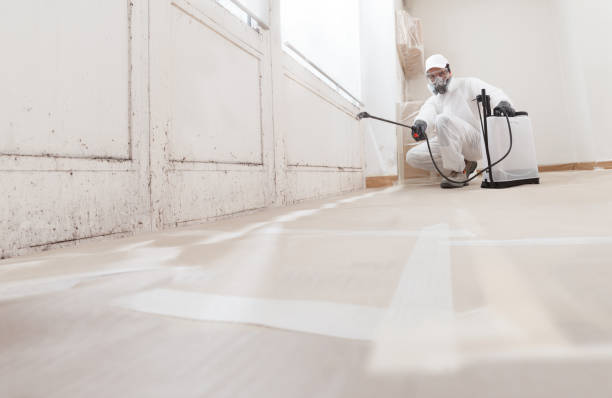 24/7 Emergency Mold Inspection experts in Ashland, VA