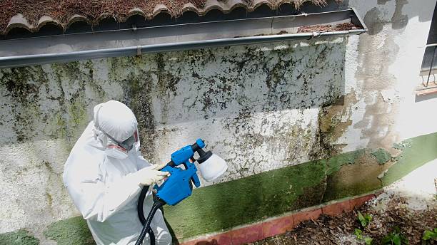 Trusted Bathroom Mold Removal service in Ashland, VA - Cheap Mold Removal